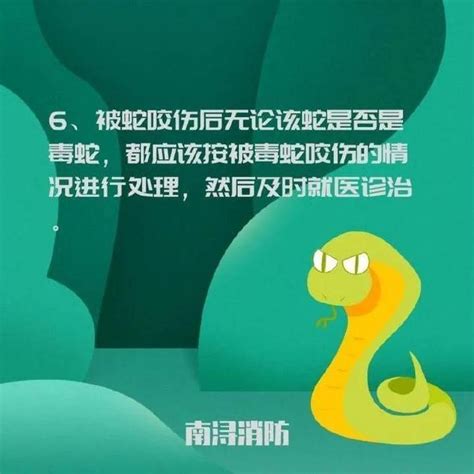 家門口出現蛇|【蛇在家門口】家門口驚見小青蛇！是瑞兆還是凶兆？揭開蛇在家。